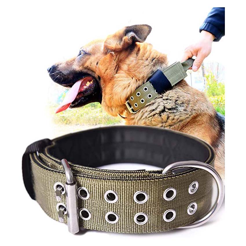 Tactical Collars: A Comprehensive Guide